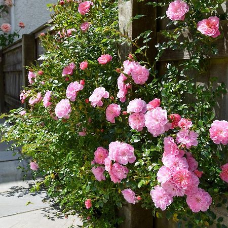 فيلا Sweet Briar - 8234 بريدبورت المظهر الخارجي الصورة