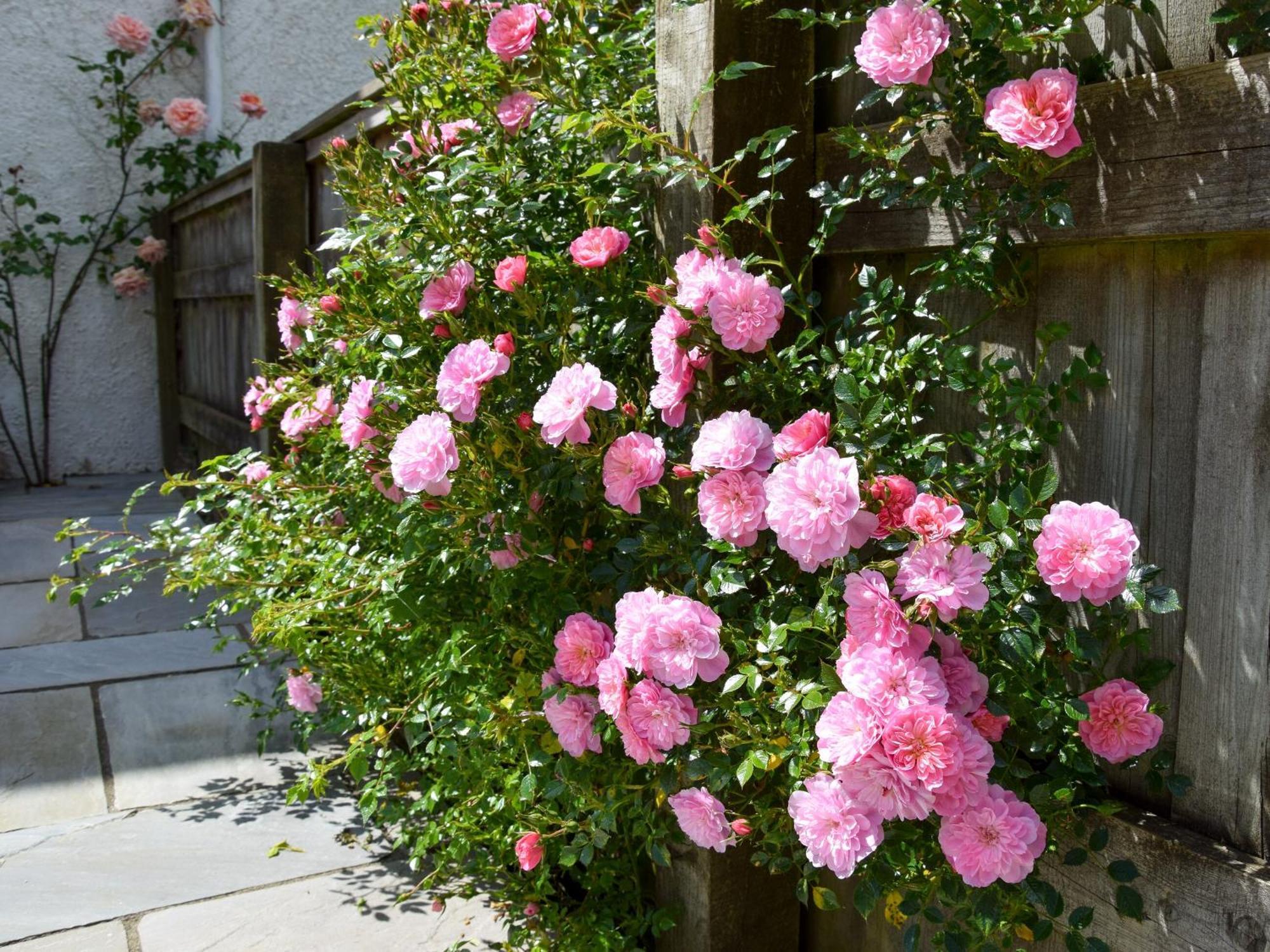 فيلا Sweet Briar - 8234 بريدبورت المظهر الخارجي الصورة